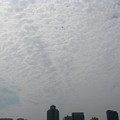 写真: 厚いウロコ雲がビッシリ