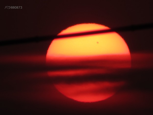 写真: 夕陽に斑点