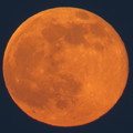 写真: 赤い色の満月