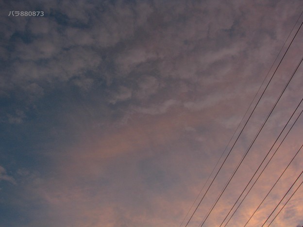 写真: 淡い夕焼け雲の変化が美しい