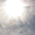 写真: 太陽の下に飛行機を切り取って