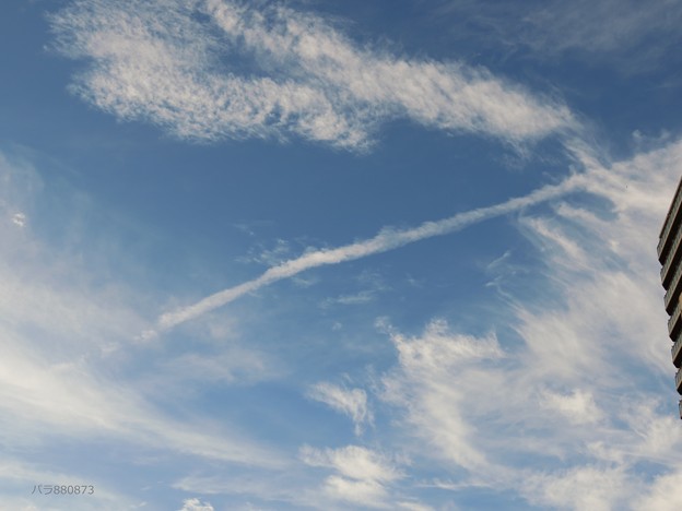 写真: 飛行機雲　ウロコ雲　絹雲