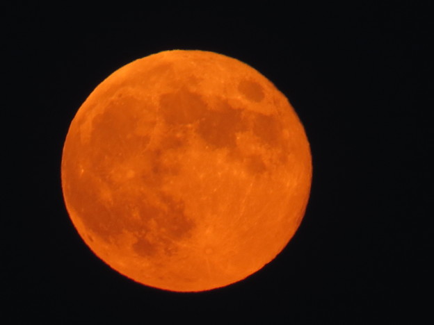 写真: 満月の赤い月！