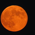 写真: 満月の赤い月！
