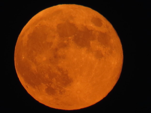 写真: 満月の赤い月！（2）