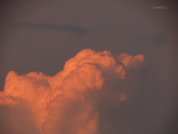ウルトラピンク東の雲