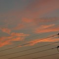 写真: 日没後の夕焼けと飛行機
