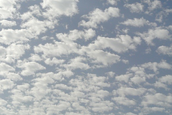 写真: やっと出たウロコ雲
