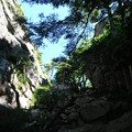 写真: 瑞牆山の手前から黒森分岐を見上げる