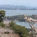 ２５．４．２５西行戻しの松公園の桜