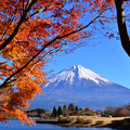 写真: 錦秋の富士