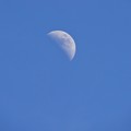 写真: 昼間の月
