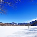 青い空と雪の小田代ヶ原