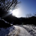 写真: 雪の道