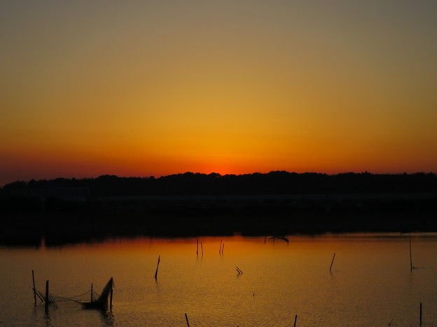 写真: 印旛沼の日暮