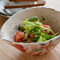 スモークサーモンと生野菜のサラダ