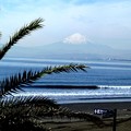 写真: 片瀬西浜からの富士山