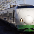 写真: 上越新幹線 200系 原色塗装